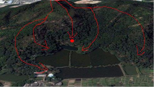 李嘉诚祖坟揭秘——猛虎回头,仙童牧牛之极富穴(广东潮州)